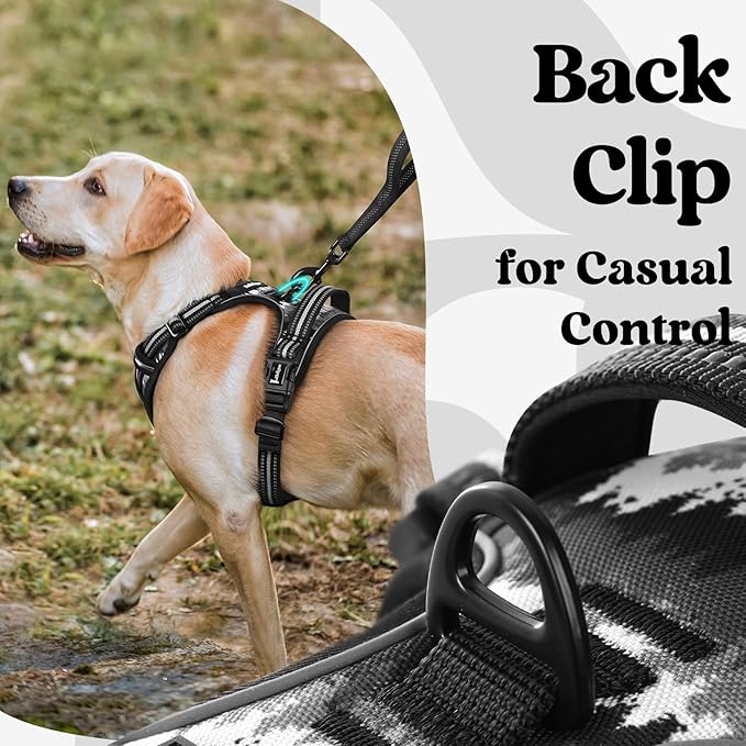 rabbitgoo Dog Harness Small Sized, No Pull Easy On & Off with 3 Buckles Pet Harness, Adjustable Soft Walking Vest with 2 Clips and Handle, Reflective for Small Dogs, Mountain Black, S