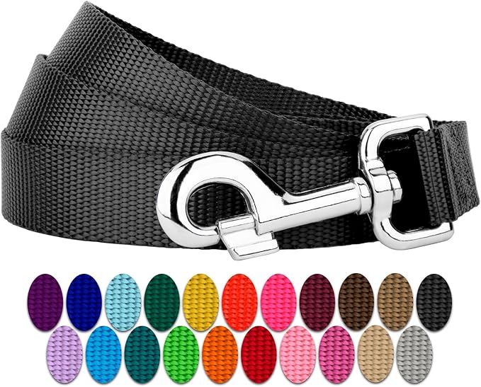 Country Brook Petz - Everyday Nylon Dog Leash - Strong, Durable, Solid Color Leash with Easy to Use Snap - 25+ Colors (1 Inch Wide, 6 Foot, Black)