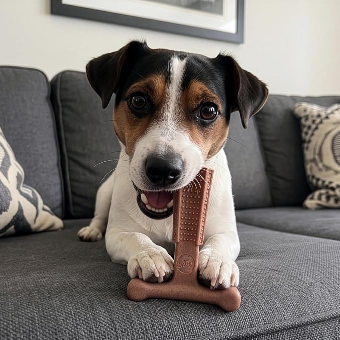 SPOT Bam-Bones Plus T Bone – Bamboo Fiber & Nylon Dog Chew Toy for Moderate to Aggressive Chewers, Durable & Non-Splintering, Long Lasting Beef Flavor Toy for Dogs & Puppies Under 30 lbs, 4 in