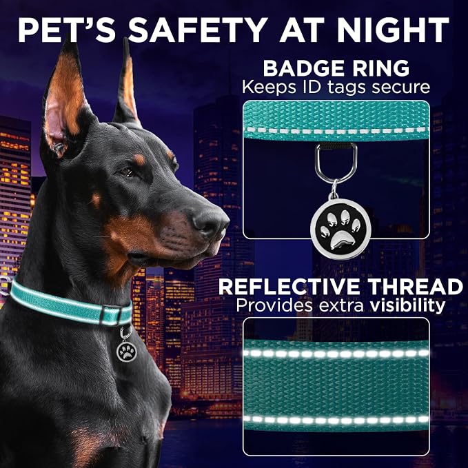 TECEUM Reflective Dog Collar – Teal – M – Extra Soft Padding – Basic Nylon Pet Collar – Quick Release Buckle – Fits Small, Medium and Large Dogs, Puppies, Cats – ESA & Service Dog Options