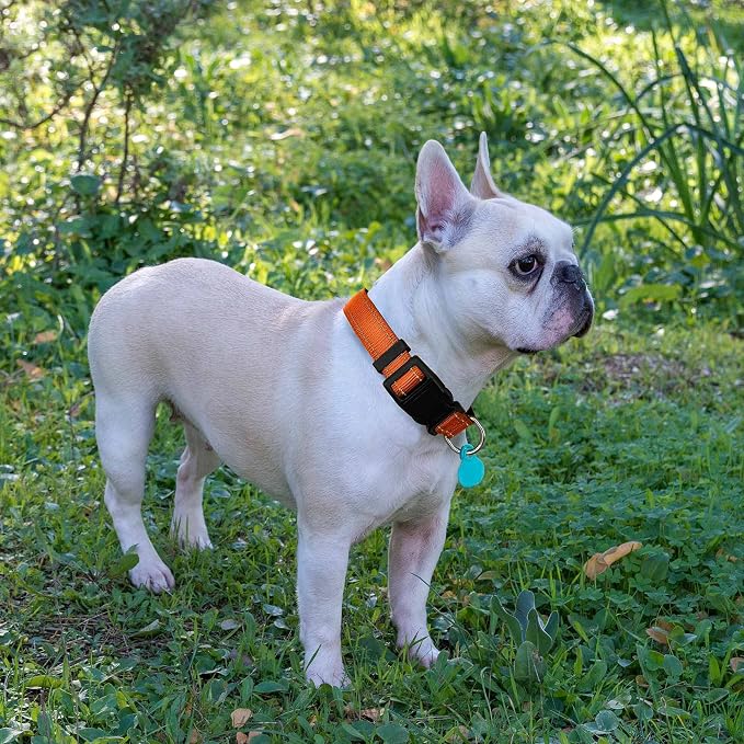 Ladoogo Reflective Dog Collar Padded with Soft Neoprene Breathable Adjustable Nylon Dog Collars for Small Medium Large Dogs (Large (Pack of 1), Orange Collar+Leash)