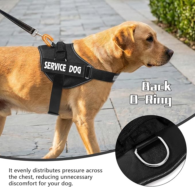 MUMUPET Service Dog Vest Harness, No Pull Reflective Adjustable with Handle, Soft Breathable Padding for Small Dogs, 2 Removable Velcro Patches (Black, S)