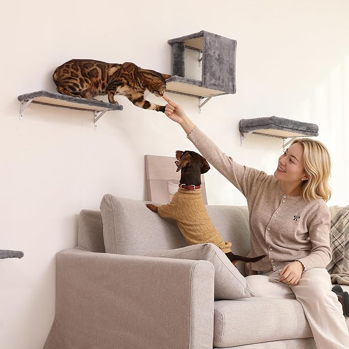 FUKUMARU Cat Wall Shelves, Stable & Safe 4 in 1 Cat Walls Furniture Set, Wooden Kitten Climbing Wall with Scratching Post for 16 Inch Drywall - Light Gray