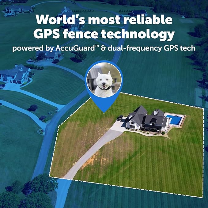PetSafe Guardian GPS 2.0 Dog Fence + Tracking Wireless Dog Fence with Reliable Dual Frequency GPS Tracking Smaller Collar for All Breeds 10 lbs and Above Subscription Required