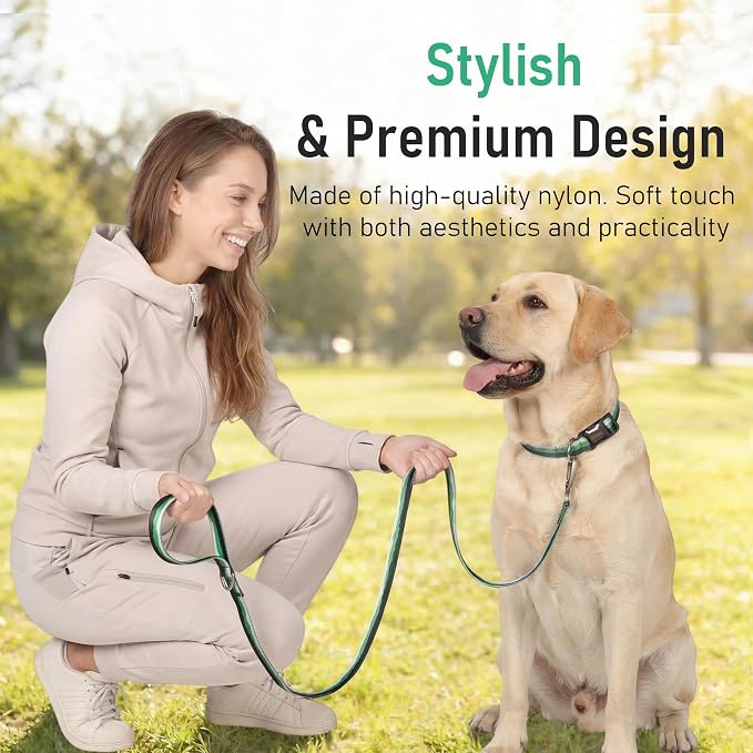 Double Handle Dog Leash 5FT – Heavy Duty Nylon Flat Leash with Traffic Handle & Safety Lock Clip,Colorful Durable Walking Lead for Small Medium Large Dogs Training & Daily (Forest Mist)