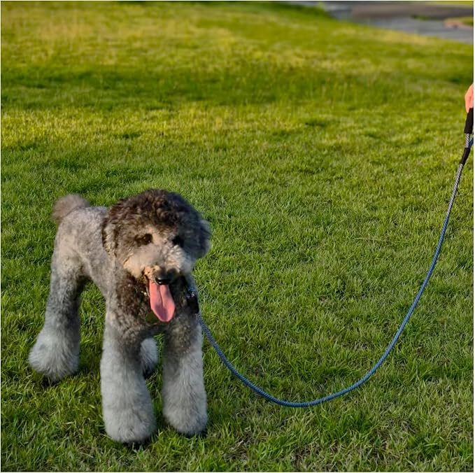 MayPaw Heavy Duty Rope Dog Leash, 3/4/5/6/7/8/10/12/15 FT Nylon Pet Leash, Soft Padded Handle Thick Lead Leashes for Large Medium Dogs (Navy, 1/2" * 6')