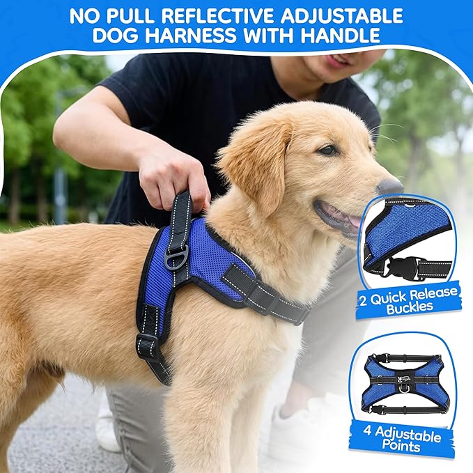 No Pull Reflective Adjustable Dog Harness With Handle- Comfortable Soft All Weather Mesh, Easy On Puppy Harness For Small Medium and Large Dogs (Blue) Small