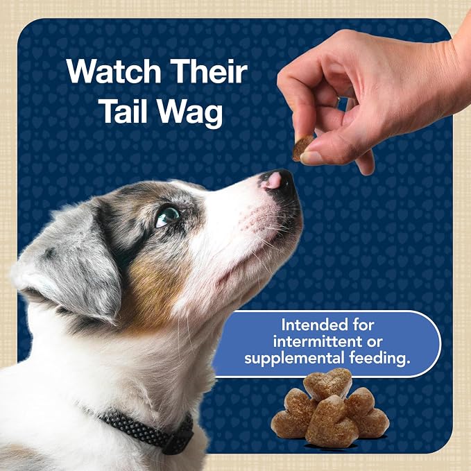 Blue Buffalo Bits Soft Dog Treats for Training, Made with Natural Ingredients & Enhanced with DHA, Chicken Recipe, 4-oz Bag, (Pack of 6)