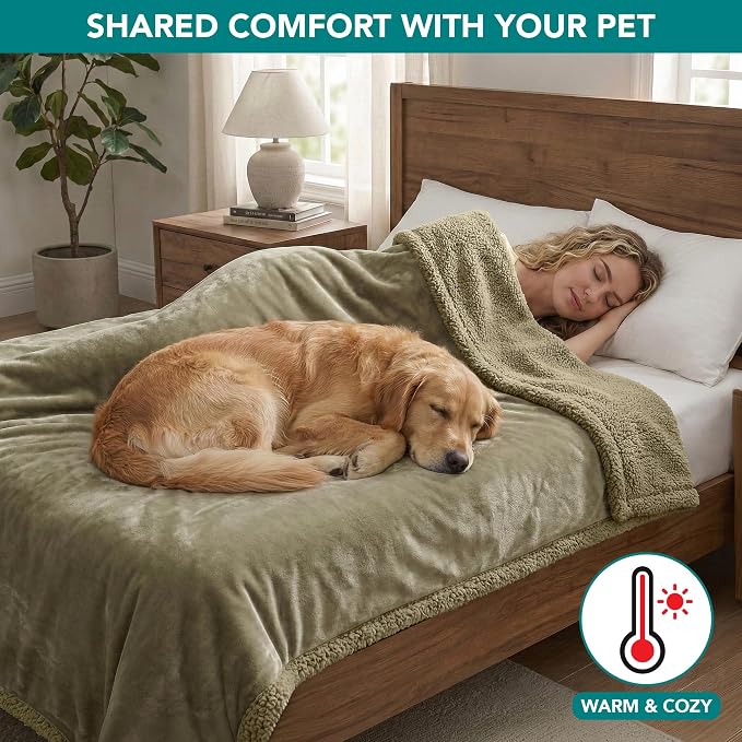 PetAmi Waterproof Dog Blanket for Couch, Extra Large 80x60, Pee Proof Sherpa Fleece Reversible Pet Throw, Furniture Protector for Bed Sofa Crate Kennel, Soft Washable Cover for Dog Cat, Taupe Sherpa