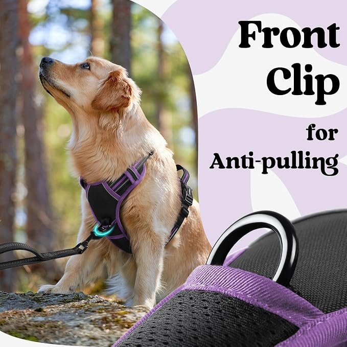 rabbitgoo Dog Harness Small Sized, No Pull Easy On & Off with 3 Buckles Pet Harness, Adjustable Soft Walking Vest with 2 Clips and Handle, Reflective for Small Dogs, Black & Purple, S