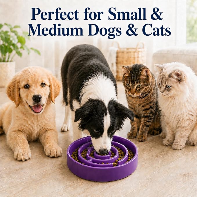 Ceramic Slow Feeder Dog Bowls with Anti-Slip, Slow Feeder & Non-Slip Design, Boredom and Anxiety Reducer, Suitable for All Breed Dogs and Cat (Ceramic-Purple)