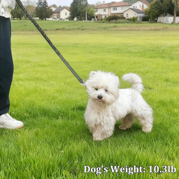 WYuZe 4ft Bungee Dog Leash Reflective Soft Handle Small Medium Dogs No Pull | Stretch Shock Absorbing Nylon Leash for Anti-pull Walking Training