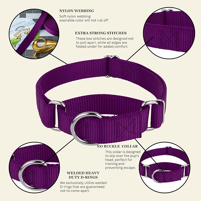 Country Brook Petz - Martingale Dog Collar - Heavy-Duty Training Collar with No Buckle - Service Dog Collar for All Pups - 20 Vibrant Colors (Purple, 1 Inch, Large)