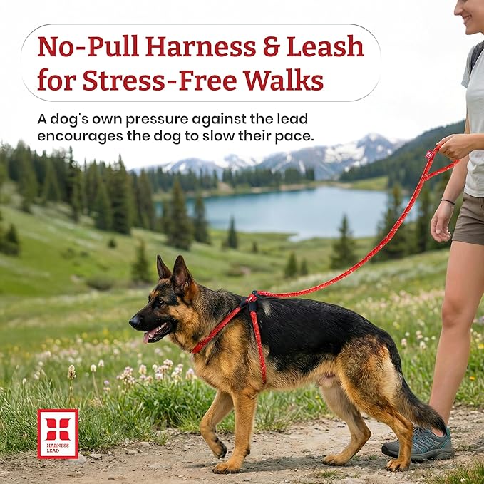 Harness Lead No Pull Dog Harness and Leash Set, Anti Pull Dog Harness, One-Piece Cushioned Rope Safely Prevents Escaping and Pulling (Small/Medium, Red/Reflective)