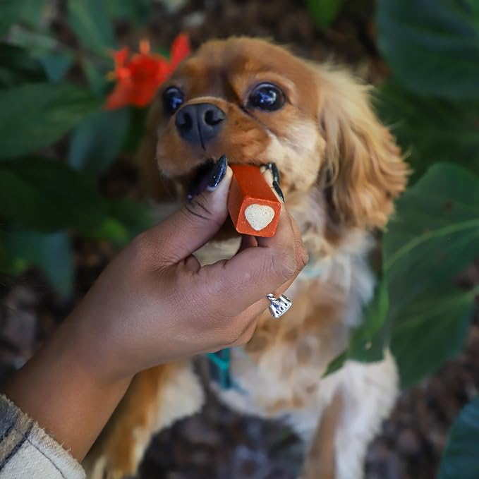 Ark Naturals Protection Plus Brushless Toothpaste for Small Breeds, 12 oz Bag, Dog Dental Chew with Toothpaste Center, Prevent Plaque & Tartar, Freshen Breath