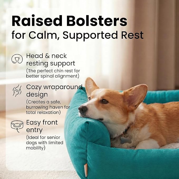 Cat Beds for Indoor Cats Washable, Small Dog Bed for Small Dogs, Orthopedic Dog Bed, Soft Warming Calming Sleeping Puppy Bed Durable Pet Bed with Anti-Slip Bottom 20 Inches