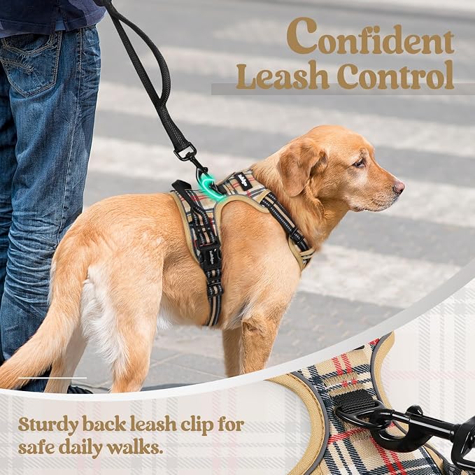 rabbitgoo Dog Harness No Pull with 2 Leash Clips, Adjustable Soft Padded, Reflective Oxford No Choke Pet Vest with Easy Control Handle for Medium Sized Dogs, Beige Plaid, M