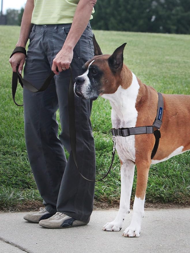 PetSafe Easy Walk Deluxe Dog Harness, No Pull Dog Harness Perfect for Leash & Harness Training Stops Pets from Pulling and Choking on Walks Small, Steel