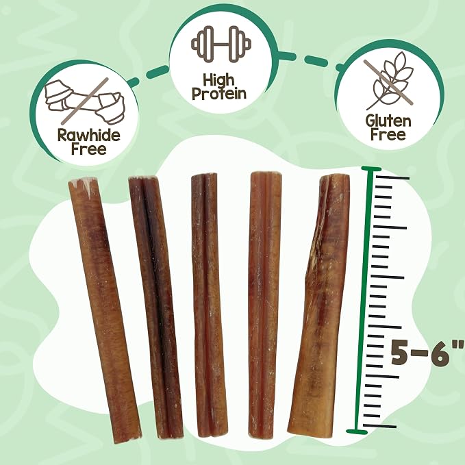 Nature Gnaws Large Bully Sticks for Dogs 5-6" (3 Count) - Thick Long Lasting for Aggressive Chewers and Large Dogs - Natural Beef Dog Chew Bones