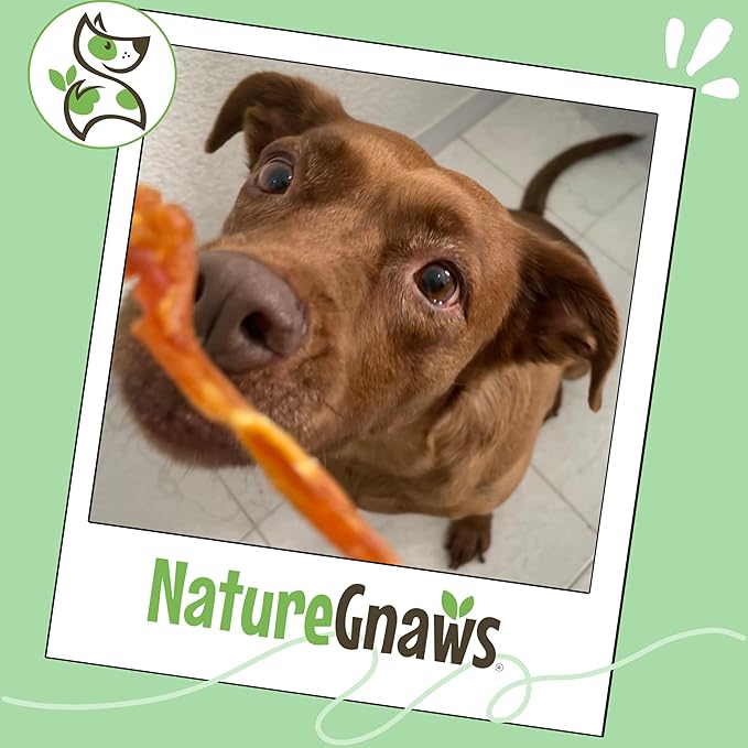 Nature Gnaws USA Turkey Tendons for Dogs (8oz) - Delicious Grain Free Reward Snack for Small, Medium & Large Breeds - Premium Natural Dog Chew Treats