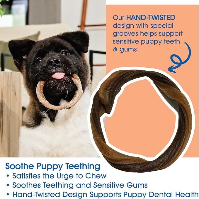 N-Bone Puppy Teething Rings Taste of Texas Pulled Pork Flavor 3 Count