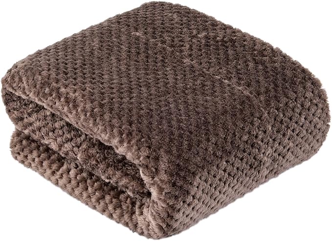 DW-Eagle Grey Plush Fleece Receiving Blanket for Dog, Cat, Couch, Travel & Outdoor, Camping (24" x 32")