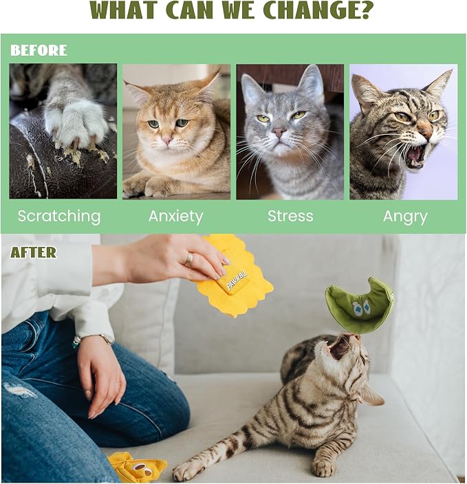 Pawsible 3 Pack Ravioli Catnip Toys for Indoor Cats, Interactive Cat Toys Filled with 100% Organic Catnip, Plush Chew Toys for Kittens, Teething Soft Catnip Toys for Cats