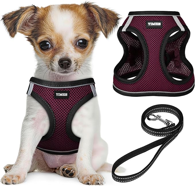 YIMEIS Dog Harness and Leash Set, No Pull Soft Mesh Pet Harness, Reflective Adjustable Puppy Vest for Small Medium Large Dogs, Cats (Grape Purple, Small (Pack of 1)