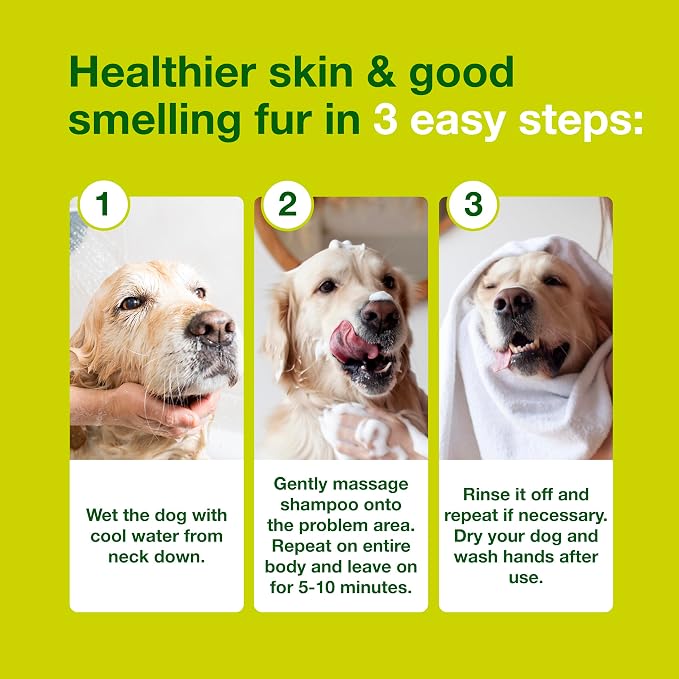 Douxo S3 SEB Dog Seboregulating Shampoo, Seborrhea Treatment for Dogs & Cats, Helps Control Dandruff, Unpleasant Odors & Oily/Flaky Skin, 0.5% Ophytrium, 16.9 fl oz