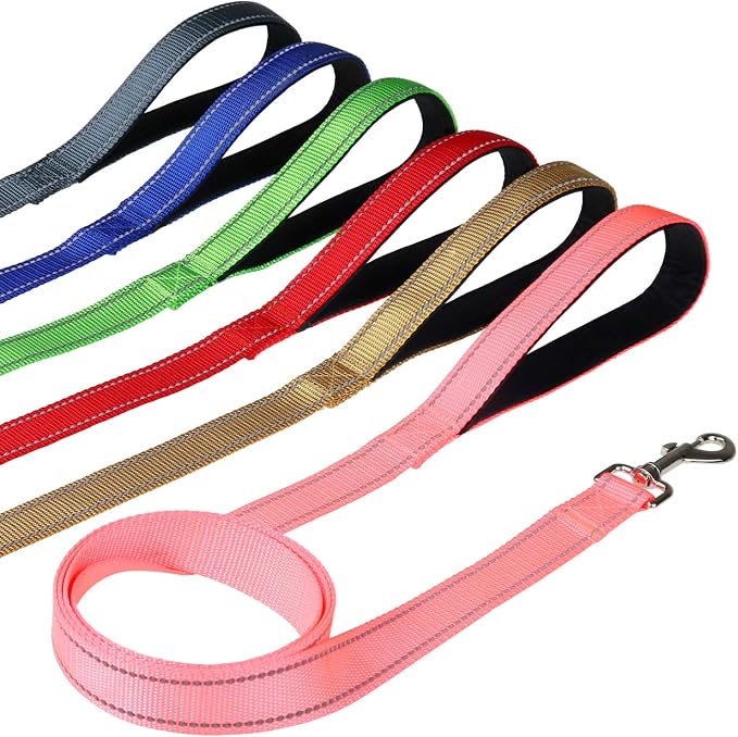 FunTags 6FT Turquoise Reflective Dog Leash for Large & Medium Dogs Walking, Soft Padded Handle Comfortable Grip, Heavy Duty Nylon, Reflective for Night Walking, 1in Wide