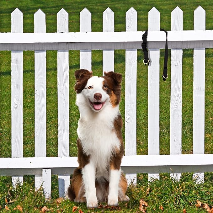 PetSafe KeepSafe Break-Away Collar 1 in Wide, Medium, Red Prevent Collar Accidents for Your Dog or Puppy Improve Safety, Compatible with Leash Use, Adjustable Sizes