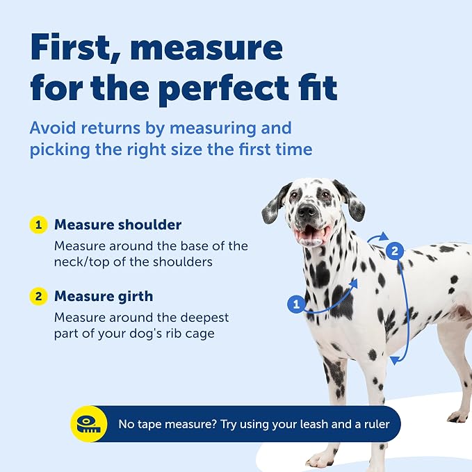 PetSafe 3 in 1 Dog Harness - No Pull Solution for Dogs - Reflective Dog Harness - Front D-Ring Clip Helps Stop Pulling - Comfortable Padded Straps - Top Handle Enhances Control - Plum - Extra Small
