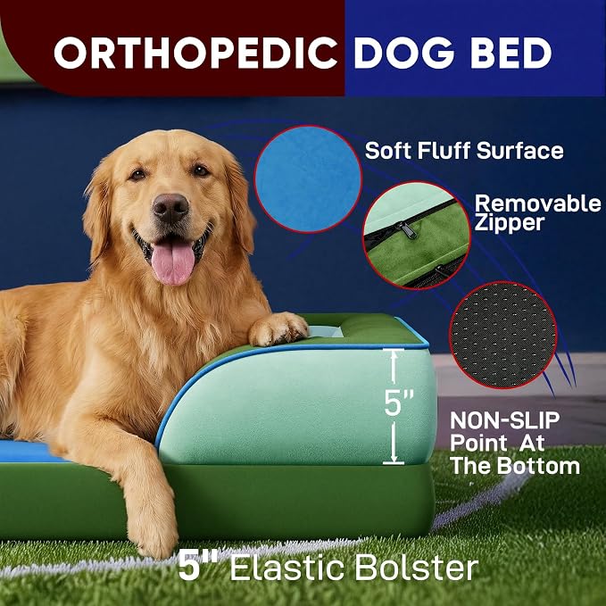 Comfort Expression Orthopedic Dog Bed for Large Dogs 36x27 Inch, Waterproof Egg Crate Foam Large Pet Bed with Bolsters, Dog Couch with Washable Cover & Non-Slip Bottom, Boston