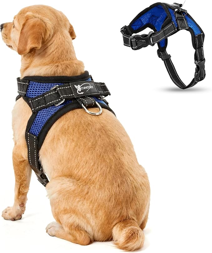No Pull Reflective Adjustable Dog Harness With Handle- Comfortable Soft All Weather Mesh, Easy On Puppy Harness For Small Medium and Large Dogs (Blue) Small