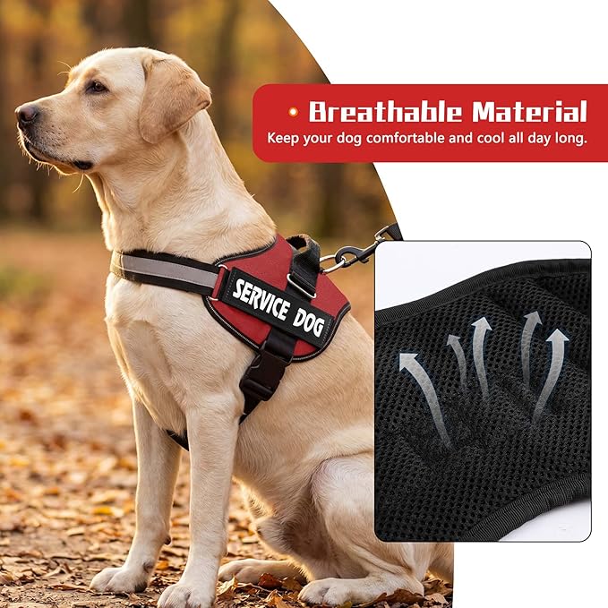MUMUPET Service Dog Vest, No Pull Reflective Adjustable Harness with Handle, Soft Breathable Padding for Small Dogs, 2 Removable Velcro Patches (Red, XS)