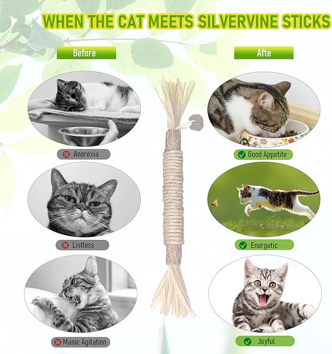 Silvervine Sticks Cat Chew Toys for Indoor Cats Dental Care Teeth Cleaning, Natural Kitten & Cat Teething Toys for Health, Cat Chew Stick Treat Edible Suitable for All Breeds of Aggressive Chewers Cat