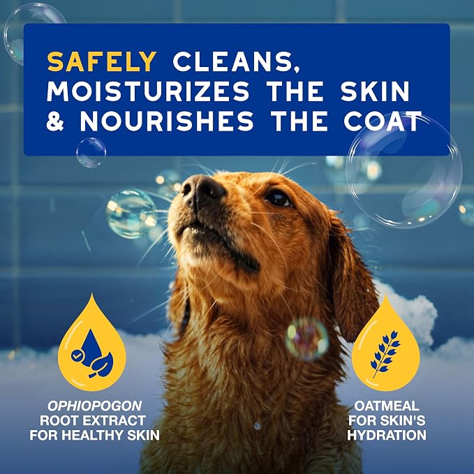DOUXO SPA Oatmeal Dog Shampoo, 16 fl oz, Moisturizes the Skin, Leaves the Coat Soft and Radiant, Ultra-Safe for Skin and Coat