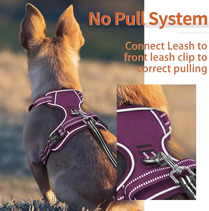 HEELE Dog Harness for Medium Dogs No Pull Dog Vest Harness with Soft Padded Handle Reflective for Outdoor Training, Purple(Matching Trim), M