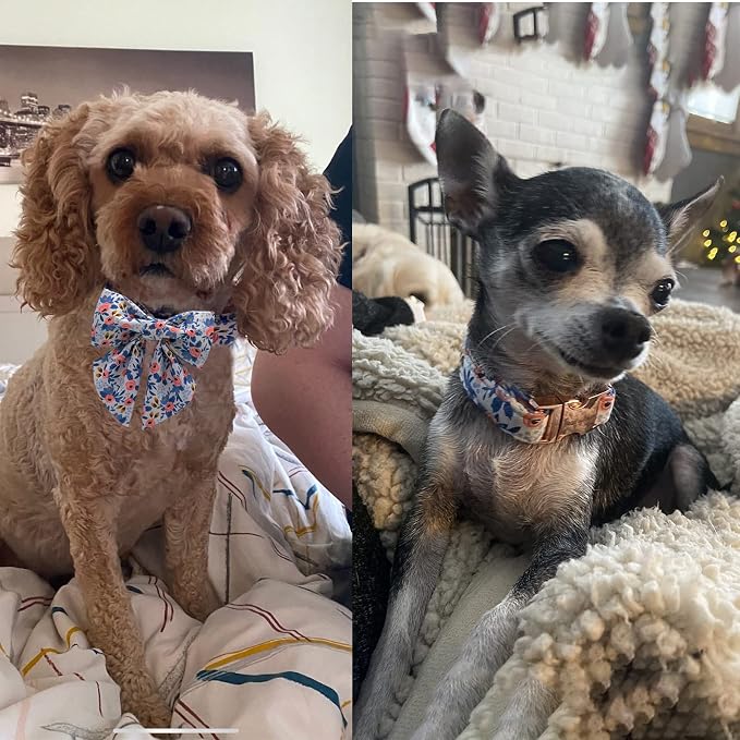 Unique style paws Dog Collar with Tie Adjustable Blue Bowtie Puppy Collars for Small Medium Large Dogs and Cats-M