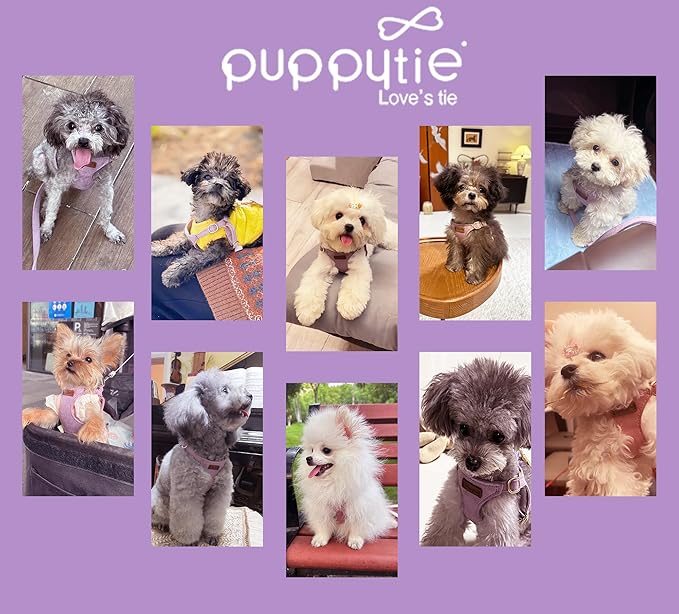 Puppytie No Pull Small Dog Harness with Multifunction Dog Leash,Lightweight Soft Adjustable No Choke Escape Proof Pet Harness Vest, Light Purple, S