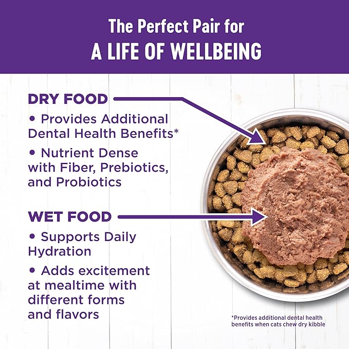 Wellness Complete Health Pate Adult Canned Wet Cat Food, Natural, Protein Rich, Grain Free, Chicken and Lobster Dinner Recipe, 5.5 oz, Pack of 24 Cans