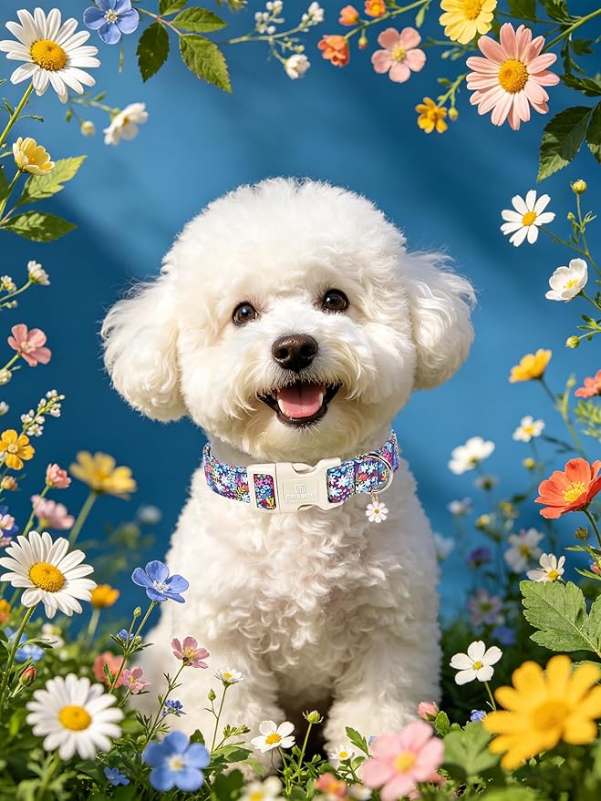 Maca Bates Blue Flower Basic Dog Collar with Flroal Charm for Large Girl Dogs, Dasiy Pattern,Feminine Style,Adjustable Durable Soft Collars Birthday Gift for Female Puppy