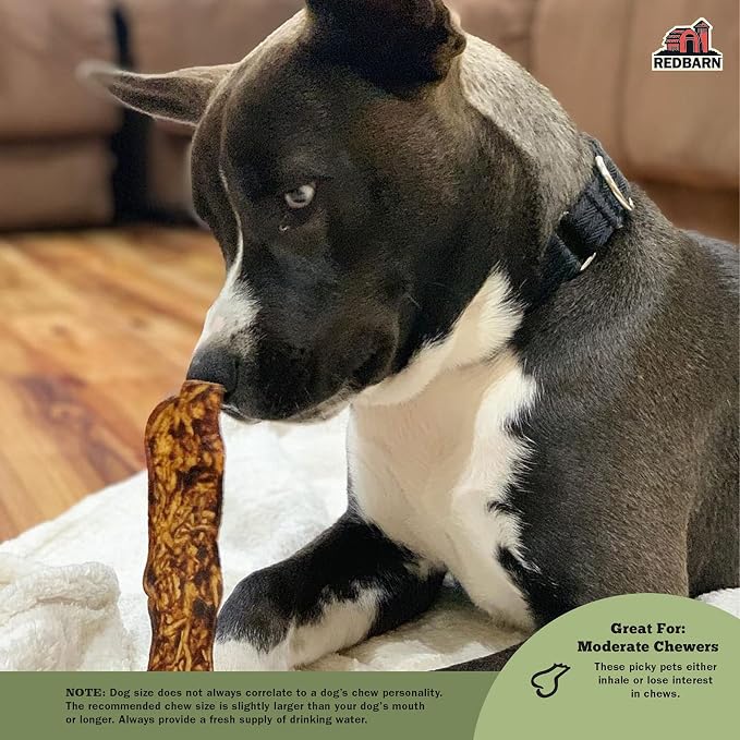 Redbarn Pet Products Bully Slices for Dogs Original Bully Natural Dental Treats 12 Bags