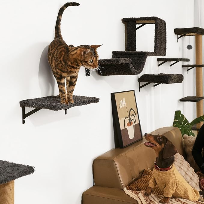 FUKUMARU Cat Wall Shelves, Stable & Safe 5 in 1 Cat Walls Furniture Set, Wooden Kitten Climbing Wall with Scratching Post for 16 Inch Drywall - Gray