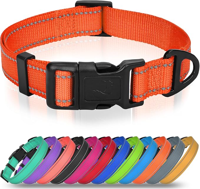 Joytale Small Dog Collar, Durable Double-Sided Reflective Nylon Collar for Night Safety, Adjustable Quick-Release for Active Breeds, Orange, S (3/4" Width)
