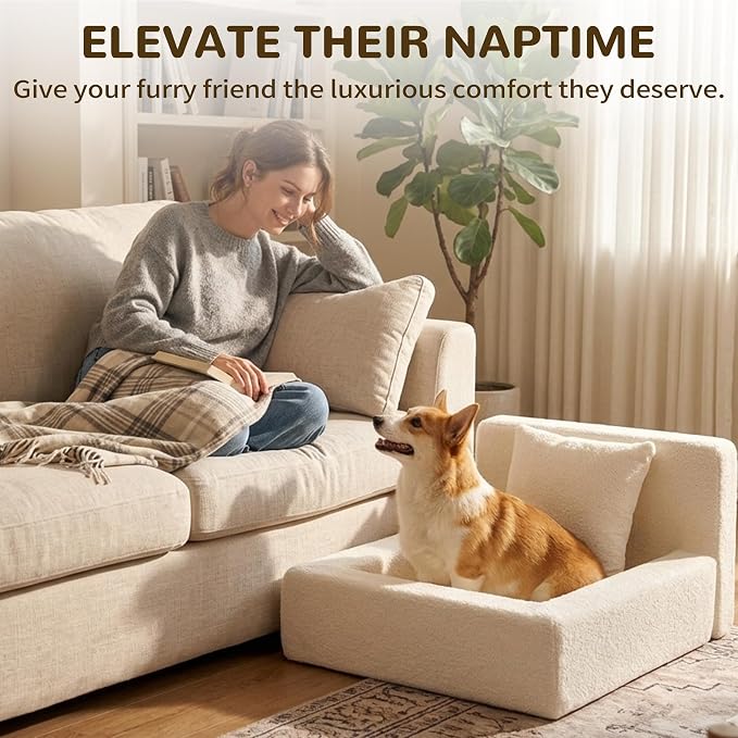 Boucle Dog Bed with Pillow, Furniture Style Dog Couch with Backrest, Washable Calming Pet Sofa Lounge for Small Medium Dogs, Beige