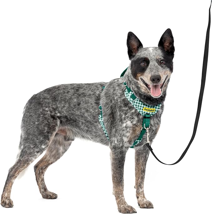 PetSafe Easy Walk Comfort No-Pull Dog Harness Padding - Better Walks on 1st Use - 5 Points of Adjustment Medium, Green Gingham