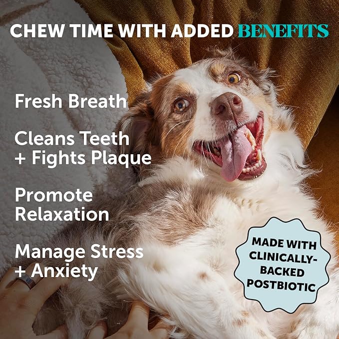 Hemp Calming Dog Dental Sticks - Reduce Stress + Occasional Anxiousness with Melatonin + Hemp to Promote Calm, Reduce Plaque + Tartar, Fresh Breath Teeth Cleaning Treats (Pumpkin Peanut Butter, 30 Ct)