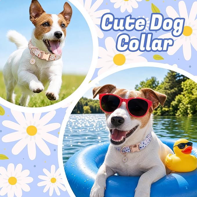 3 Pack Floral Dog Collars for Medium Dogs Flower Dog Collars with Pendant for Girl Female Dogs Cute Puppy Pet Collar (12-18.9 inch)