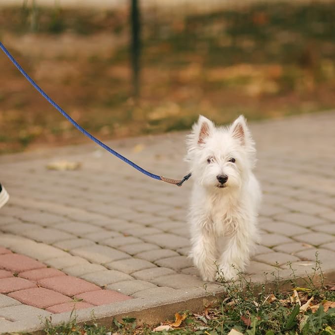 Mile High Life Small Dog Leash, Thin Rope Leash with Genuine Leather Connection and Heavy Duty Metal Clasp, Great for Small Medium Dogs(Blue,60 Inch-1/3)
